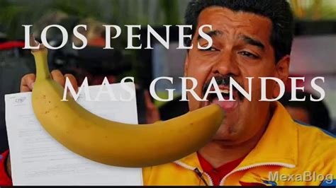 imagenes de penes grandes|Más de 10 000 imágenes gratis de Pene Grande y Elefante.